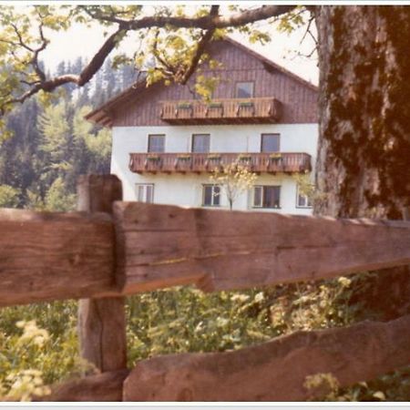 Ferienwohnung Haus Einhirn Altaussee Exteriör bild