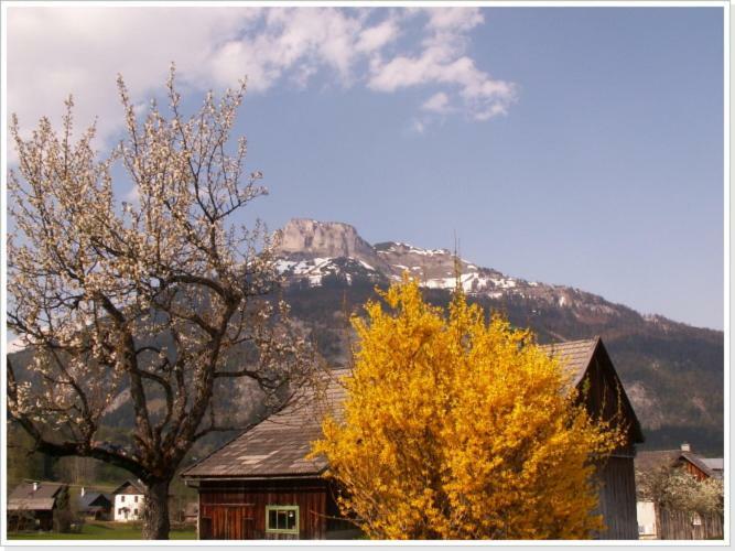 Ferienwohnung Haus Einhirn Altaussee Exteriör bild