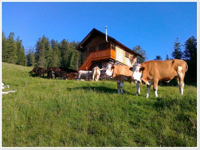 Ferienwohnung Haus Einhirn Altaussee Exteriör bild